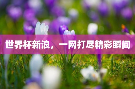 世界杯新浪，一网打尽精彩瞬间常熟市高丰毛纺织品有限公司