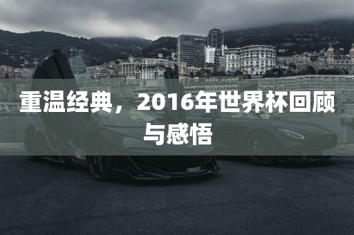 重温经典，2016年世界杯回顾与感悟常熟市高丰毛纺织品有限公司