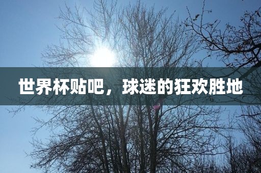 世界杯贴吧，球迷的狂欢胜地常熟市高丰毛纺织品有限公司