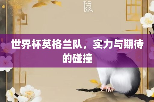 世界杯英格兰队，实力与期待的碰撞