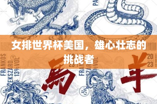 女排世界杯美国，雄心壮志的挑战者常熟市高丰毛纺织品有限公司