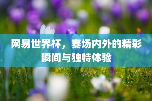 网易世界杯，赛场内外的精彩瞬间与独特体验常熟市高丰毛纺织品有限公司