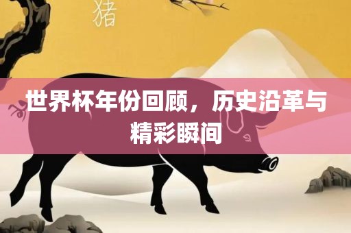 世界杯年份回顾，历史沿革与精彩瞬间