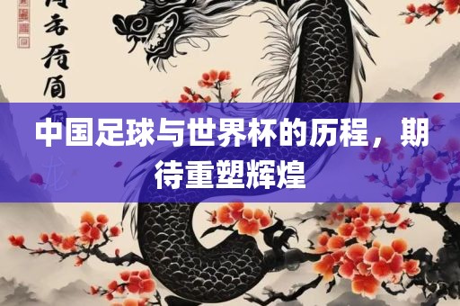 中国足球与世界杯的历程，期待重塑辉煌常熟市高丰毛纺织品有限公司