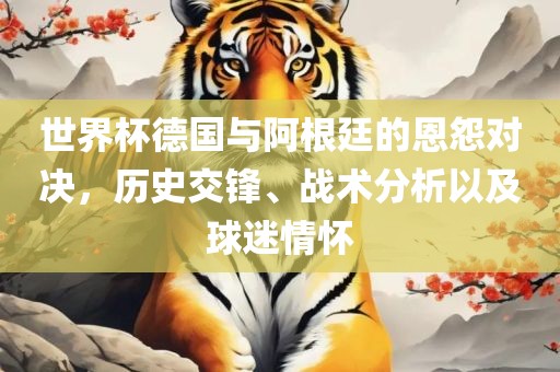 世界杯德国与阿根廷的恩怨对决，历史交锋、战术分析以及球迷情怀