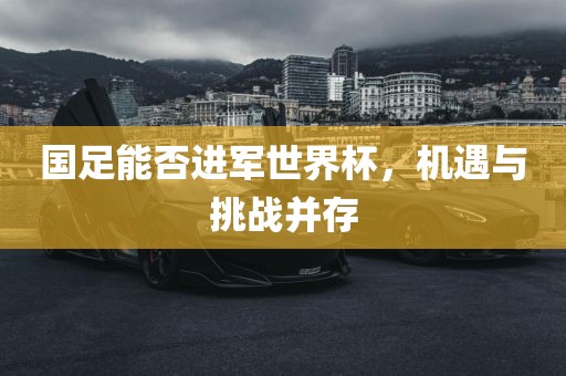 国足能否进军世界杯，机遇与挑战并存常熟市高丰毛纺织品有限公司