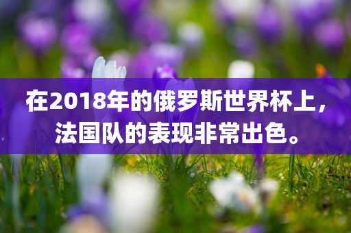在2018年常熟市高丰毛纺织品有限公司的俄罗斯世界杯上，法国队的表现非常出色。