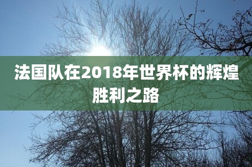 法国队在2018年世界杯的辉煌胜利之路