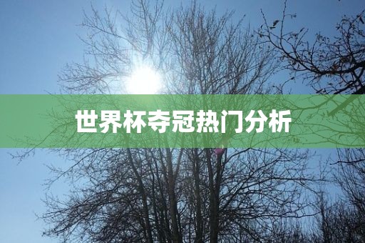 lizhengqiao 第6页
