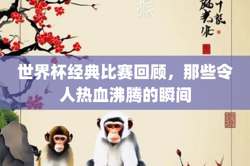 世界杯经典比赛回顾，那些令人热血沸腾的瞬间常熟市高丰毛纺织品有限公司