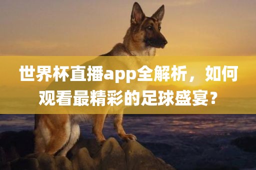 世界杯直播app全解析，如何观看最精彩的足球盛宴？