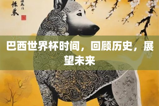 巴西世界杯时间，回顾历史，展望未来常熟市高丰毛纺织品有限公司