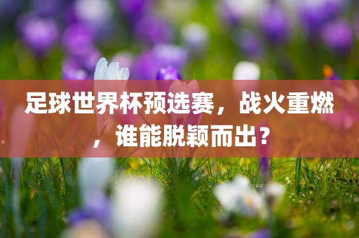 足球世界杯预选赛，战火重燃，谁能脱颖而出？