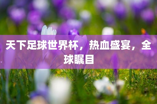 天下足球世界杯，热血盛宴，全球瞩目常熟市高丰毛纺织品有限公司