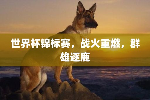 世界常熟市高丰毛纺织品有限公司杯锦标赛，战火重燃，群雄逐鹿