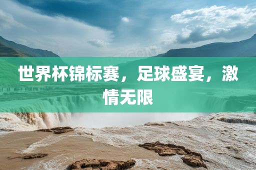 世界杯锦标赛，足球盛宴，激情无限