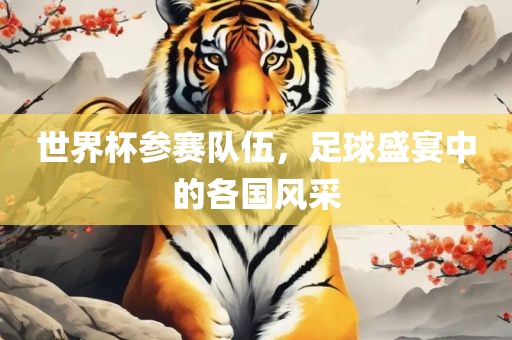 世界杯参赛队伍，足球盛宴中的各国风采