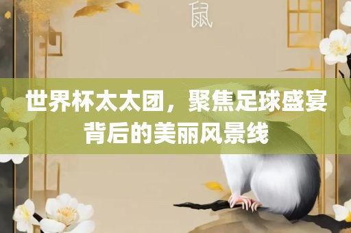 世界杯太太团，聚焦足球盛宴背后的美丽风景线