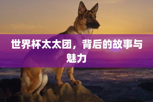世界杯太太团，背后的故事与魅力
