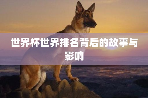 世界杯世界排名背后的故事与影响常熟市高丰毛纺织品有限公司
