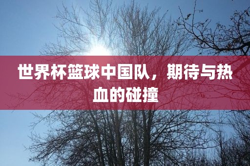 世界杯篮球中国队，期待与热血的碰撞