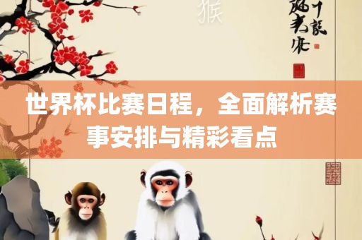 世界杯比赛日程，全面解析赛事安排与精常熟市高丰毛纺织品有限公司彩看点