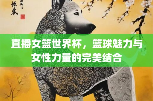 直播女篮世界杯，篮球魅力与女性力量的完美结合