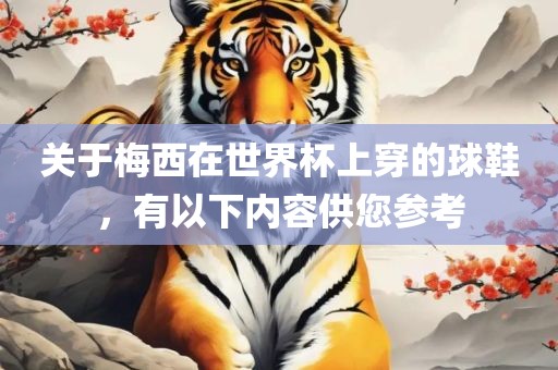 关于梅西在世界杯上穿的球鞋，有以下内容供您参考