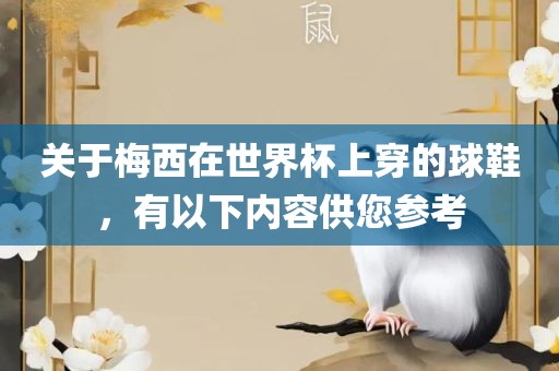 关于梅西在世界杯上穿的球鞋，有以下内容供您参考