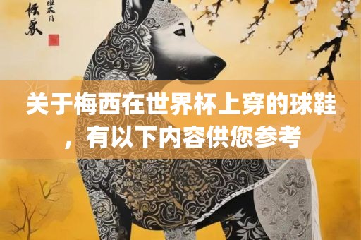 关于梅西在世界杯上穿的球鞋，有以下内容供您参考