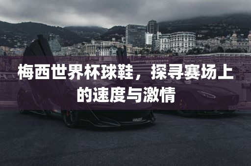 梅西世界杯球鞋，探寻赛场上的速度与激情