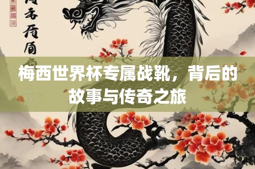 梅西世界杯专属战靴，背后的故事与传奇之旅常熟市高丰毛纺织品有限公司