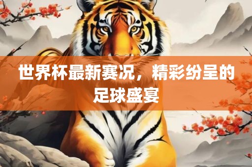 世界杯最新常熟市高丰毛纺织品有限公司赛况，精彩纷呈的足球盛宴