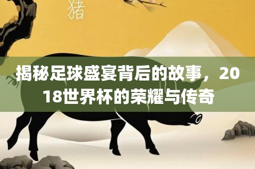 揭秘足球盛宴背后的故事，2018世界杯的荣耀与传奇常熟市高丰毛纺织品有限公司