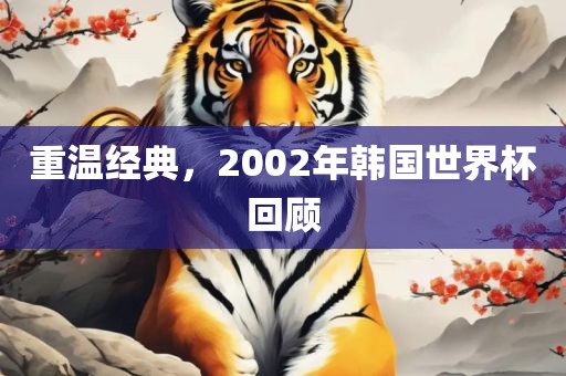 重温经典，2002年韩国世界杯回顾常熟市高丰毛纺织品有限公司