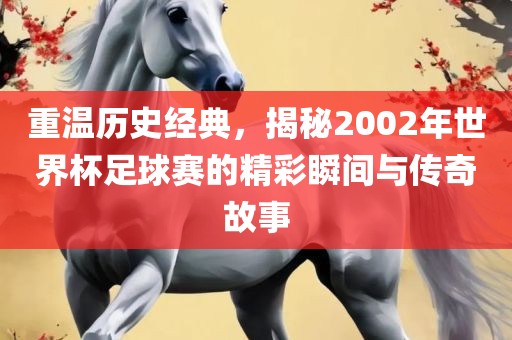 重温历史经典，揭秘2002年世界杯足球赛的精彩瞬间与传奇故事常熟市高丰毛纺织品有限公司