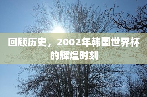 回顾历史，2002年韩国世界杯的辉煌时刻