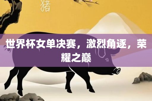 世界杯女单决赛，激烈角逐，荣耀之巅常熟市高丰毛纺织品有限公司