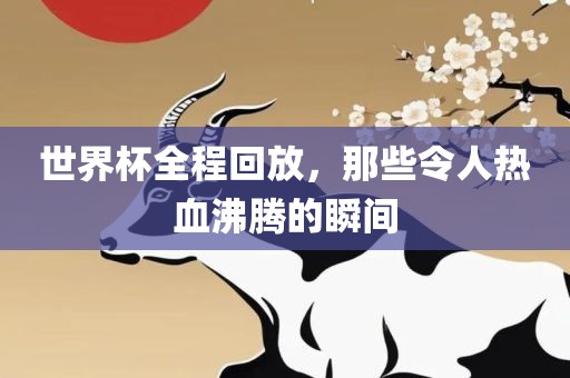 houyingru 第5页