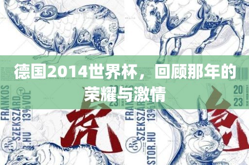 德国2014世界杯，回顾那年的荣耀与激情