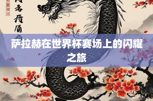 萨拉赫在常熟市高丰毛纺织品有限公司世界杯赛场上的闪耀之旅