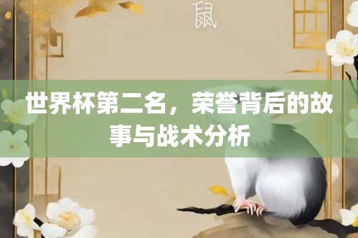 世界杯第二名，荣誉背后的故事与战术分析常熟市高丰毛纺织品有限公司