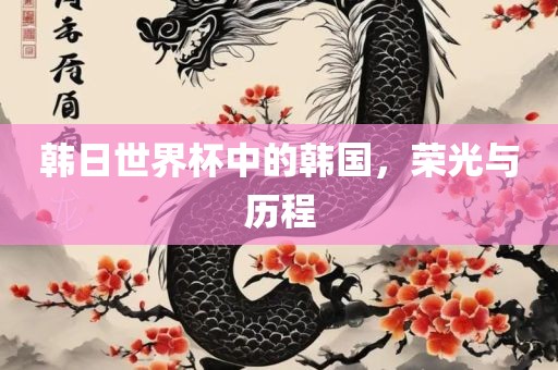 韩日世界杯中的韩国，荣光与历程常熟市高丰毛纺织品有限公司