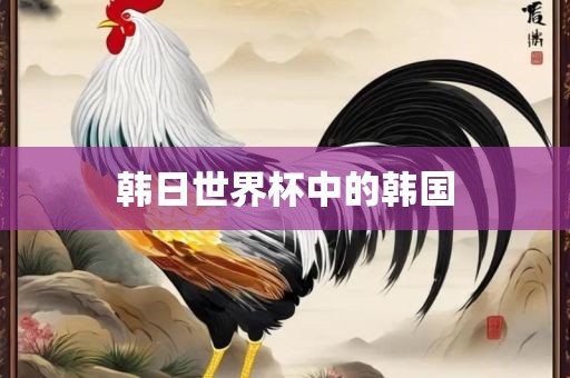 韩日世界杯中的韩国