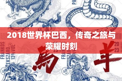 2018世界杯巴西，传奇之旅与荣耀时刻常熟市高丰毛纺织品有限公司
