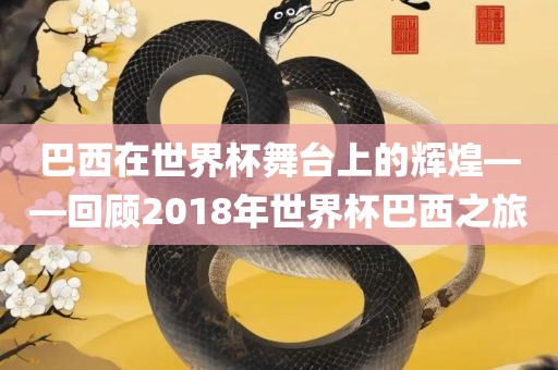 巴西在世界杯舞台上的辉煌——回顾2018年世界杯巴西之旅常熟市高丰毛纺织品有限公司