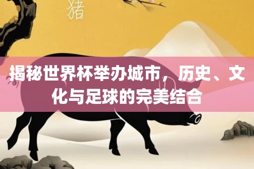 揭秘世界杯举办城市，历史、文化与足球的完美结合