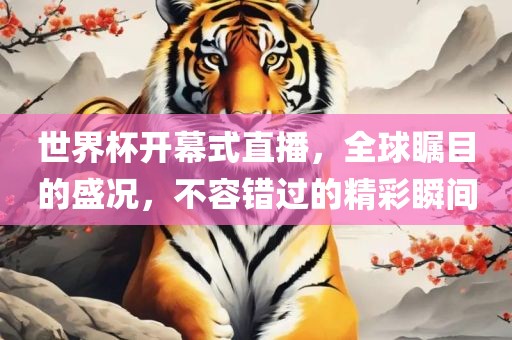 世界杯开幕式直播，全球瞩目的盛况，不容错过的精彩瞬间