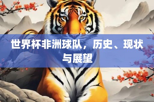 世界杯非洲球队，历史、现状与展望