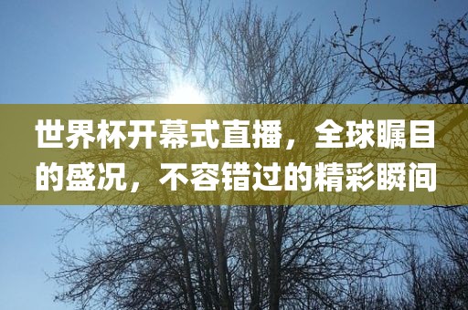 世界杯开常熟市高丰毛纺织品有限公司幕式直播，全球瞩目的盛况，不容错过的精彩瞬间